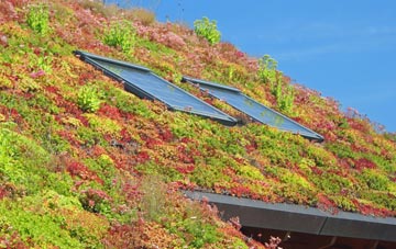 Stratford Tony living roof systems
