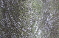 Stratford Tony fibreglass roof work